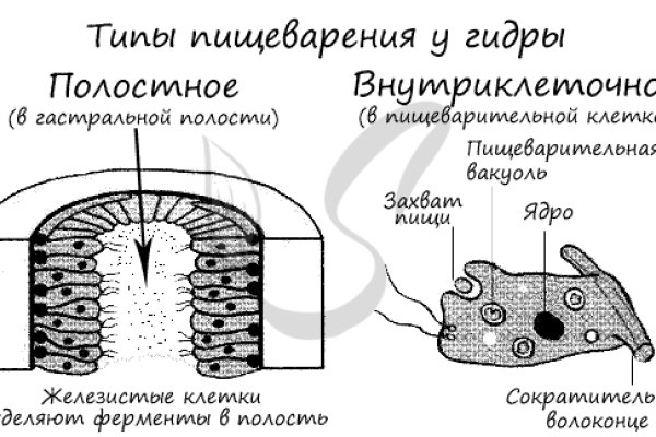 Кракен это современный даркнет маркет плейс