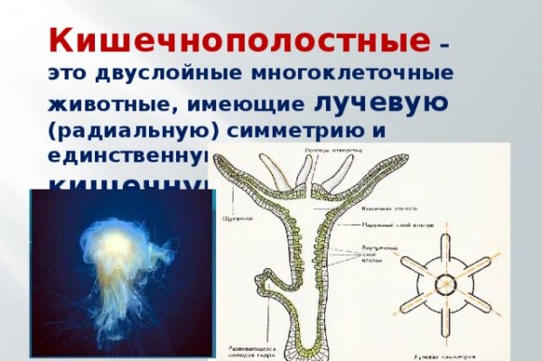 Кракен запрещенные вещества