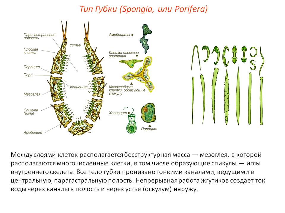 Кракен онион сайт io