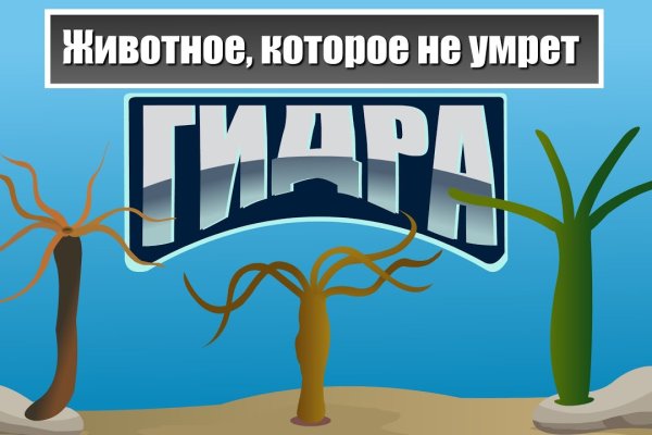 Kraken зеркала kr2web in